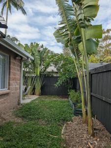 Vườn quanh Peaceful Byron House, Walk to Beach, Starlink, Flexible Sleeping Arrangements