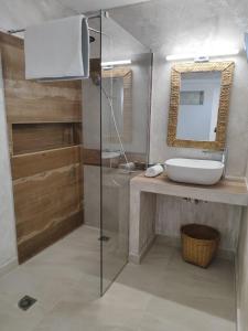 une salle de bains avec douche, lavabo et miroir dans l'établissement Villa Kristina, Ermioni, à Plépi
