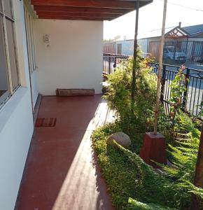 une terrasse couverte d'une maison ornée de plantes dans l'établissement Alojamiento Monitor Huáscar, à Talcahuano