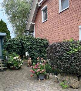 Rottal-AlpakaLodge Zeit zu Zweit im Grünen في Abtsgmünd: قطة تجلس أمام منزل مليء بالزهور +42 صورة