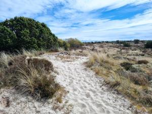 un chemin sablonneux traversant un champ d'herbe et d'arbres dans l'établissement 5 person holiday home in Fanø, à Fanø