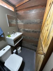 Koupelna v ubytování Chalé às margens da represa + 37 fotografií