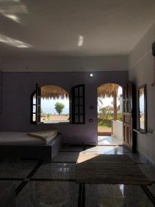 - un salon avec un lit et deux fenêtres dans l'établissement Palm Valley camp, à Nuweiba‘ el Muzeinah