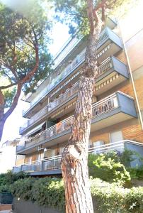a tree in front of a tall building at Trilocale vacanza Riccione in Riccione