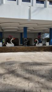 Φωτογραφία από το άλμπουμ του Diani Sands International Hotel σε Galu