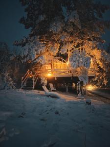 Jurty z widokiem, prywatna balia- DZIKOLAS GLAMPING talvel