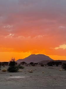 a sunset in the desert with a mountain in the background at Desert tours&trips in Zagora