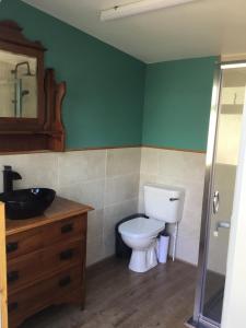 a bathroom with a toilet and a sink at The Cosy Nest Hut in Keddington