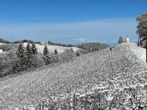 Φυσικό τοπίο κοντά σε αυτή η παραθεριστική κατοικία