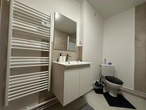 Un baño blanco con inodoro y lavabo. en Le Cocon Cathédrale, en Metz