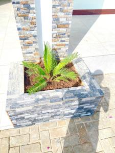 Foto dalla galleria di Ynna Stays a Dar es Salaam