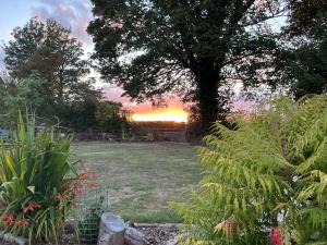 een zonsondergang in een tuin met een boom bij The Cosy Nest Hut in Keddington