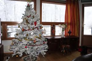 Fotografie z fotogalerie ubytování Atmospheric house on riverbank v destinaci Rovaniemi + 45 fotografií