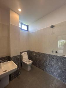 HatikhuliSneha Bhawan Kaziranga的带马桶和水槽的浴室