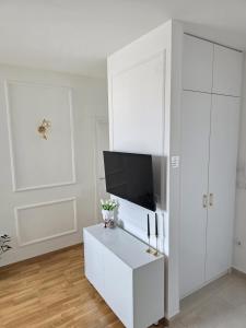 Μια τηλεόραση ή/και κέντρο ψυχαγωγίας στο Apartman N Pale +20 φωτογραφίες