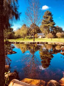 Φωτογραφία από το άλμπουμ του Swannie Creek σε Grabouw