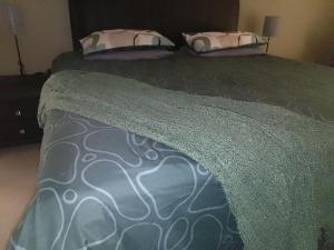 a bedroom with two beds with green blankets and pillows at Goose On Uitvlught Self Catering Accommodation Room2 in Montagu