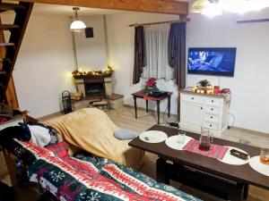 TV a/nebo společenská místnost v ubytování Domek u Bartnika z basenem na Mazurach