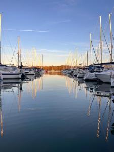 Příroda nedaleko apartmánu