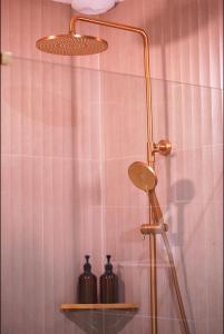 a shower with two bottles on a shelf in a bathroom at Lunéa - Suite Premium avec Spa et Sauna in Dompierre-sur-Besbre +8 photos