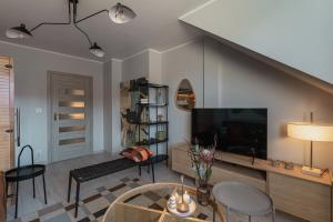 Μια τηλεόραση ή/και κέντρο ψυχαγωγίας στο Apartament Sauna Loft