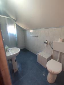 a small bathroom with a toilet and a sink at Edelweis Floare de Colt in Borsec