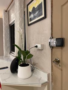 eine Pflanze auf einem Regal neben einer Tür in der Unterkunft Rural stay Baan mea pen in Ban Pang Mung + 31 Fotos