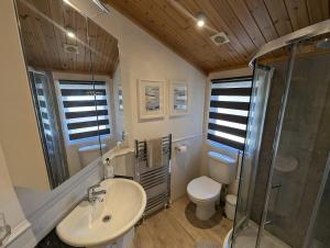 une salle de bain avec un lavabo, des toilettes et une douche dans l'établissement The Boathouse Lodge, à Whelford 38 autres photos
