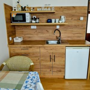 Η κουζίνα ή μικρή κουζίνα στο Penzion Frederika