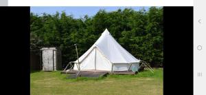 Billede fra billedgalleriet på I do glamping penhallow campsite Ltd i Truro + 16 billeder