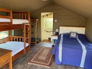 a bedroom with two bunk beds in a tent at Private bush camp with pool cottages tents - 2332 in Ilbisil +28 photos