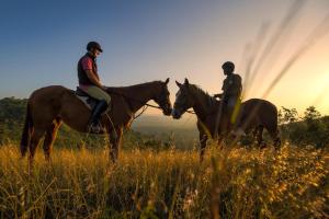 two people are riding horses in a field at Private bush camp with pool cottages tents - 2332 in Ilbisil