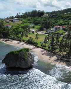 eine Luftaufnahme eines Strandes mit einem Felsen im Wasser in der Unterkunft T.Cole’s Holiday Rental in Saint James