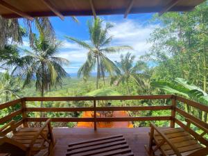 Lajolla Waterfall Resort في Luk: اطلالة من شرفة منتجع فيه نخيل