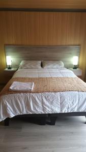 a bed with two pillows and a cat sitting on it at Cabaña del Llicanko in Achao