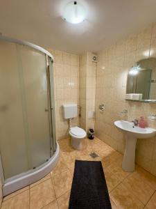 ein Badezimmer mit Dusche, Toilette und Waschbecken in der Unterkunft Pensiunea Turistică Octavian in Moroeni