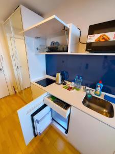 Köök või kööginurk majutusasutuses Agent orbi aparthotel