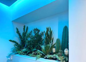 Un acuario con plantas en una pared azul. en Hotel Max, en Aversa 109 fotos más