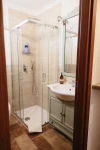 een badkamer met een douche en een wastafel bij Tra gli ulivi in San Cesareo +24 foto's