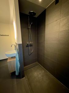 Koupelna v ubytování Ferien im Schwarzwald Dörlinbach II + 27 fotografií