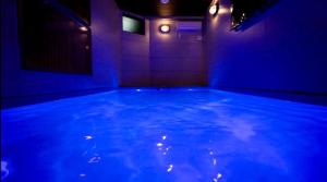 La alberca dentro o cerca de SEADINERS VILLA AOYAMA Tokyo First Metropolis Villa Pool Sauna BBQ