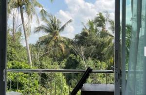 Κήπος έξω από το My box in samui