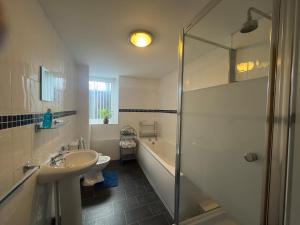 un bagno con doccia, lavandino e vasca di The Bluebird Porthmadog Retreat a Porthmadog