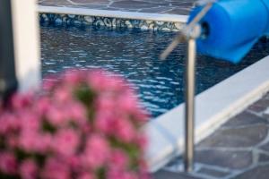 a pool of water with pink flowers in front of it at Vila Mira in Gračišče