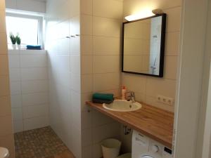 a bathroom with a sink and a mirror at Ferienhaus Eichhörnchen in Oberlangen