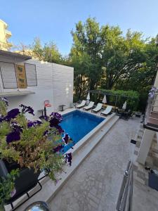 Πισίνα στο ή κοντά στο Apartments TP 777