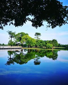 un reflejo de árboles en un lago en Cyberjaya Eclipse Residence 2BR Fully Air-Con Suite, Our Prince's Palace, en Cyberjaya