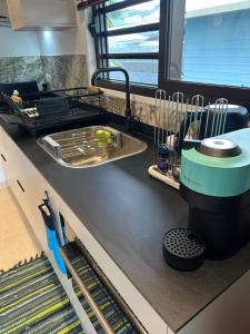 a kitchen counter with a sink and a dishwasher at Nanua Lodge 1 green in Bora Bora +25 photos