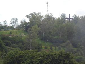 uma colina com árvores e uma ponte ao longe em Santo Antônio do Mineiro em Aparecida