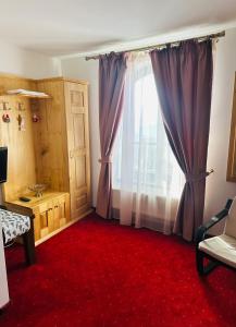 TV a/nebo společenská místnost v ubytování Pensiunea Casa Ancutei